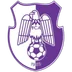 Logo of Arges Pitesti