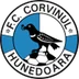 Logo of Corvinul Hunedoara