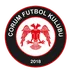 Logo of Çorum FK